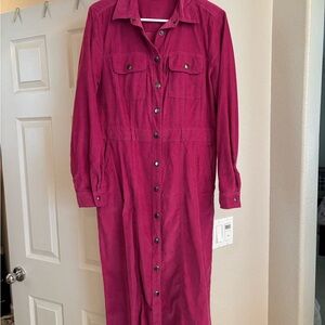 LOFT Fuchsia Long Sleeve Button-Down Dress